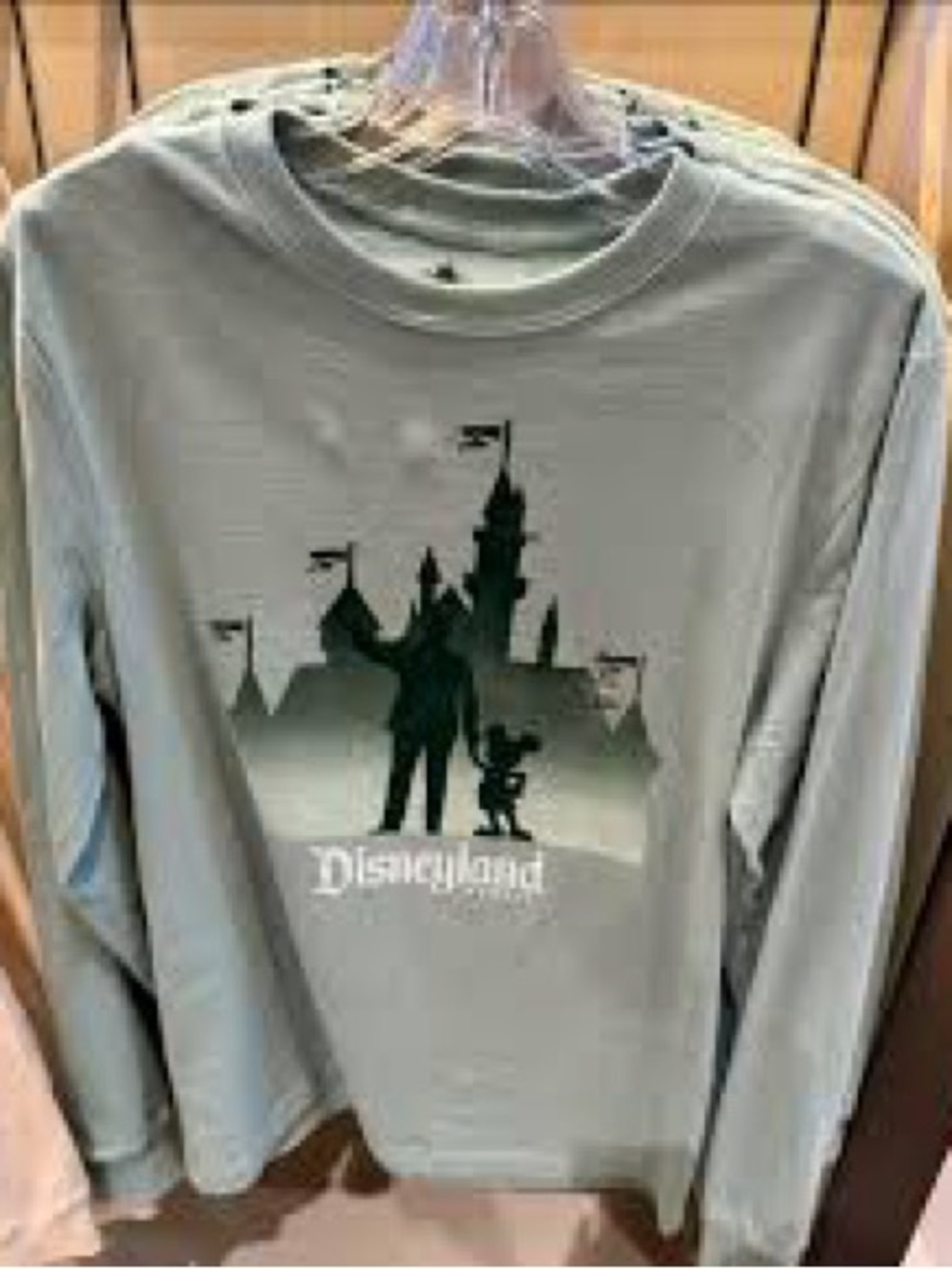 Disneyland Resort Partners Statue and Castle Long Sleeve in Sage Green - Size X